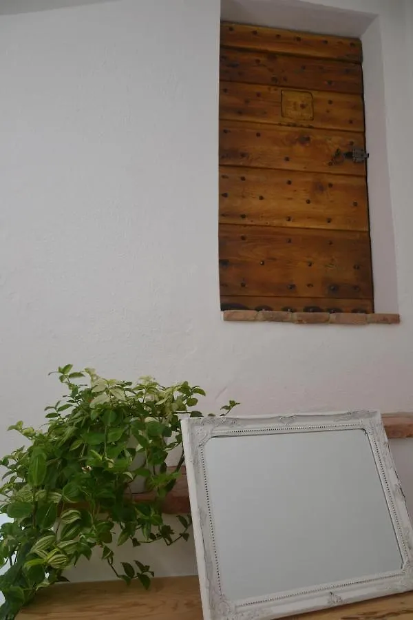 Bed & Breakfast B&B Da Baba Ghizzano Italy