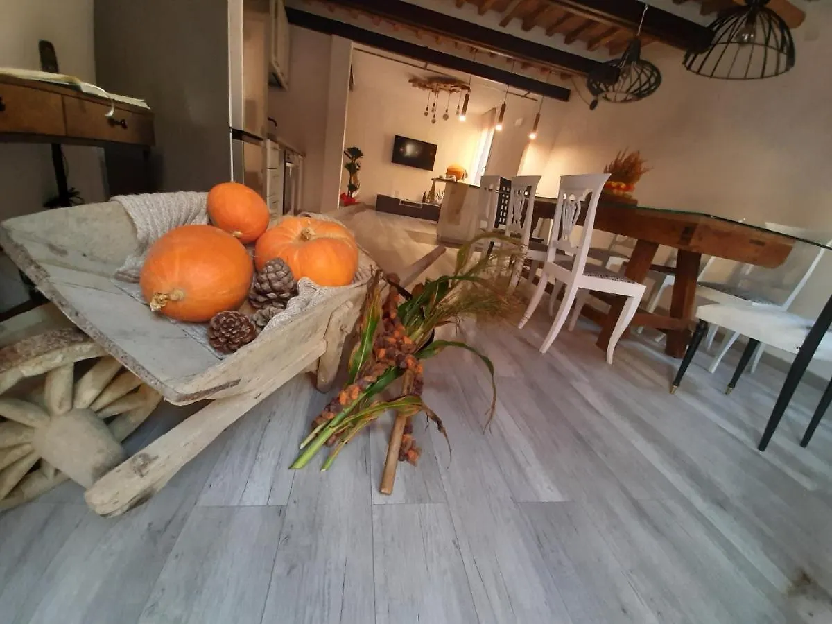 B&B Da Baba Ghizzano Bed & Breakfast